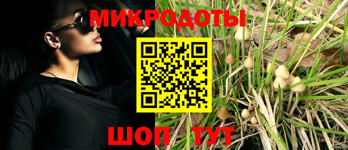 Псилоцибиновые грибы прущие грибы  цена   Тара  Вход с VPN 