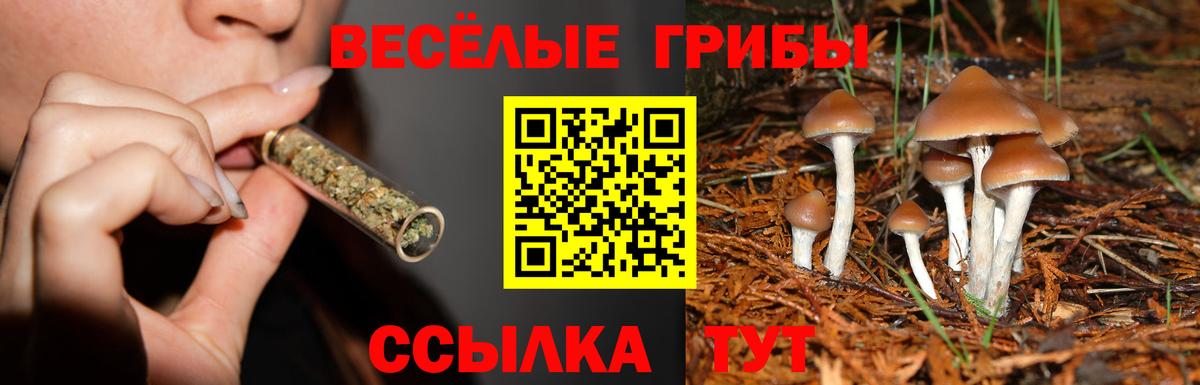 Галлюциногенные грибы ЛСД Тара